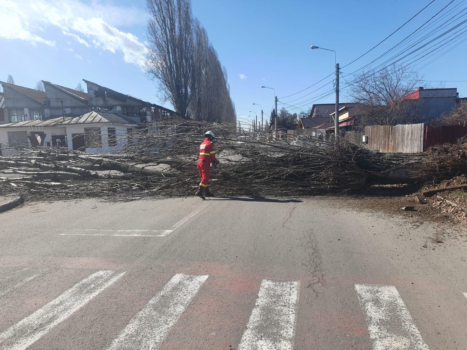 Elevii unei clase de la un colegiu din Ploieşti, evacuaţi după ce un copac a căzut pe gardul unităţii/ O femeie a fost rănită de bucăţi de tencuială desprinse de pe un bloc