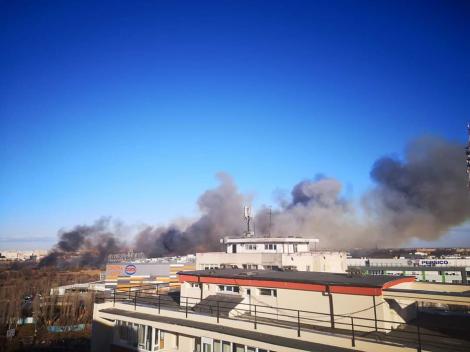 Arde Delta Văcărești! Incendiul se extinde rapid! Imagini cu intervenția pompierilor | VIDEO