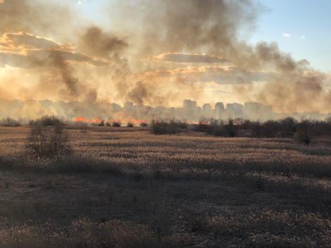 Incendiu pe 20.000 de metri pătraţi, în Delta Văcăreşti/ ISU Bucureşti-Ilfov intervine cu mai multe autospeciale