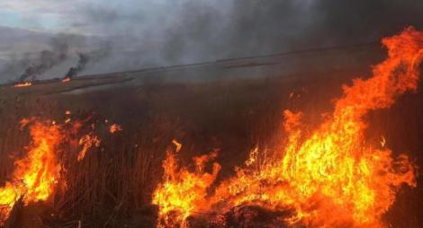 Prahova: 22 de incendii de vegetaţie uscată produse în 24 de ore
