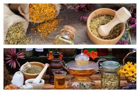 Omoară virusurile fiind eficiente și &icirc;n cazul gripei! Cele mai puternice tratamente antivirale cu care s-au tratat oamenii secole la r&acirc;nd