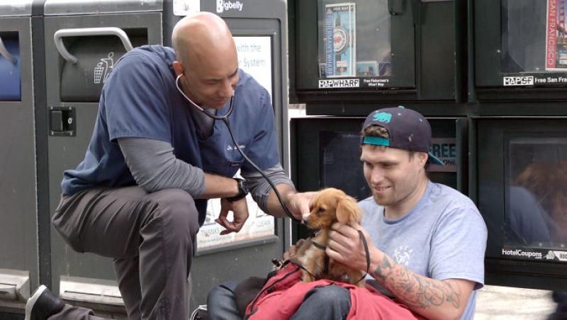 Medicul veterinar care merge pe jos kilometri întregi și salvează toate animalele pe care le întâlnește