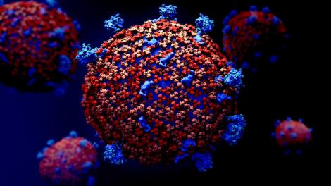Cum arată coronavirusul la microscop. Imagini terifiante! „Prezintă o asemănare cu HIV-ul” – Foto