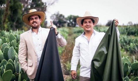 Vor să salveze Planeta!Doi bărbați din Mexic au creat "piele" din cactus, în speranța de a ocroti un miliard de animale ucise anual în numele modei