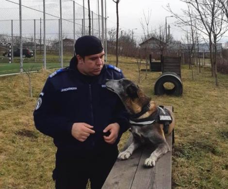 Un jandarm a adoptat câinele cu care a lucrat, după ce patrupedul "a iesit la pensie"