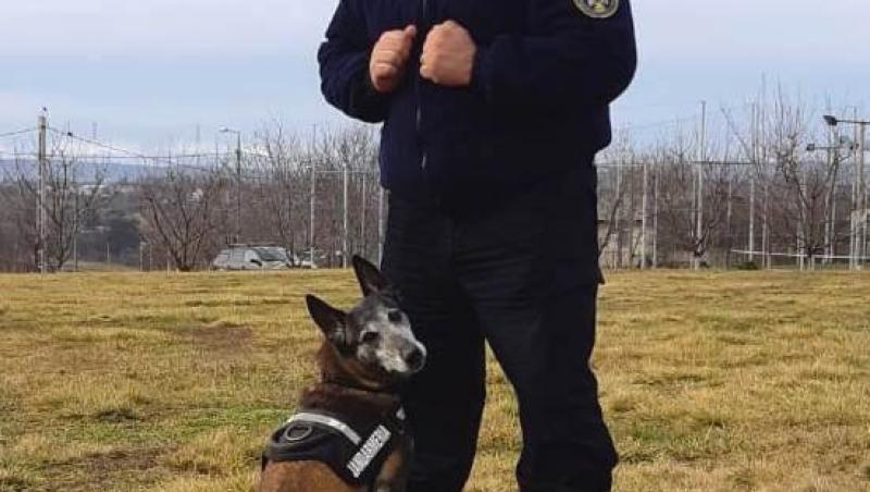 Un jandarm a adoptat câinele cu care a lucrat, după ce patrupedul 