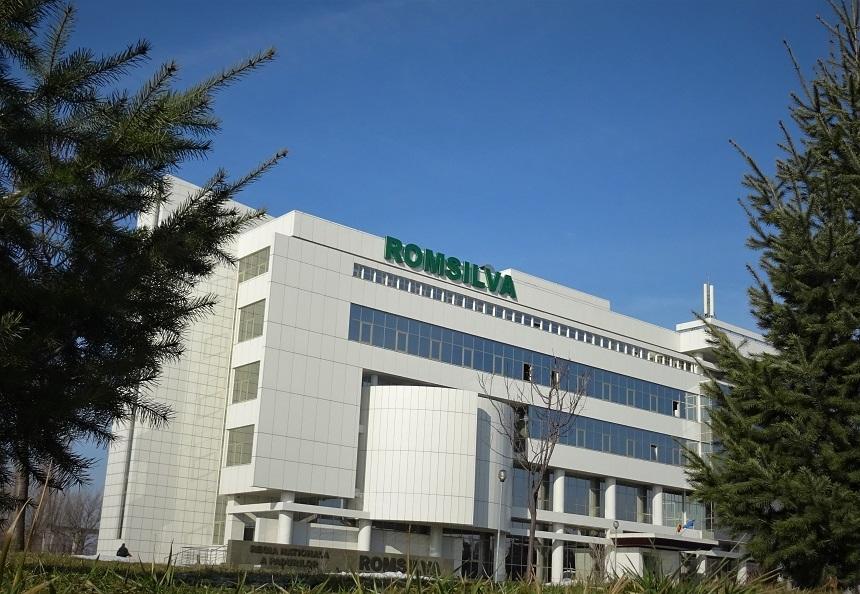 Directorul general al Regiei Naţionale a Pădurilor &ndash; Romsilva Gheorghe Mihăilescu a fost revocat din funcţie