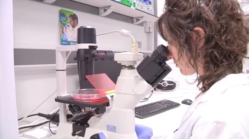 Cel mai amplu studiu pentru analizarea genomului tumorilor canceroase, un pas către dezvoltarea de noi tratamente