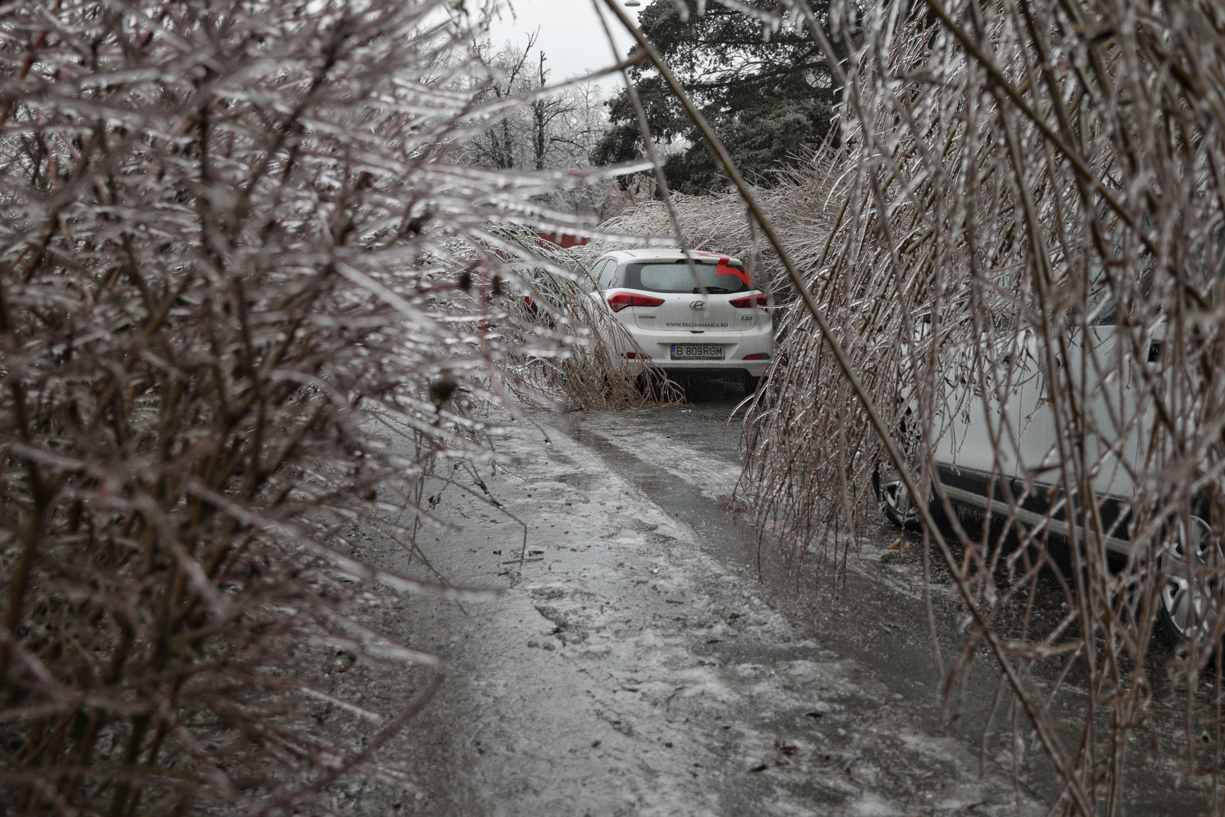 Constanţa: Ambulanţă rămasă &icirc;nzăpezită, mai multe maşini derapate, copaci rupţi &icirc;n urma v&acirc;ntului puternic şi a viscolului