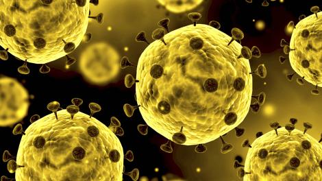 Previziune sumbră a experților despre coronavirus. Milioane de oameni ar putea muri