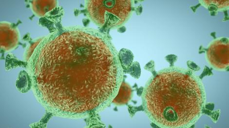 Chinezii au descoperit tratamentul pentru coronavirus. Face parte din medicina tradițională chineză