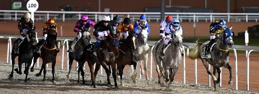 Cursele hipice organizate pe Hipodromul din Ploieşti, am&acirc;nate p&acirc;nă la sf&acirc;rşitul lunii martie. Instituţiile de cultură din subordinea Primăriei şi-au suspendat activitatea