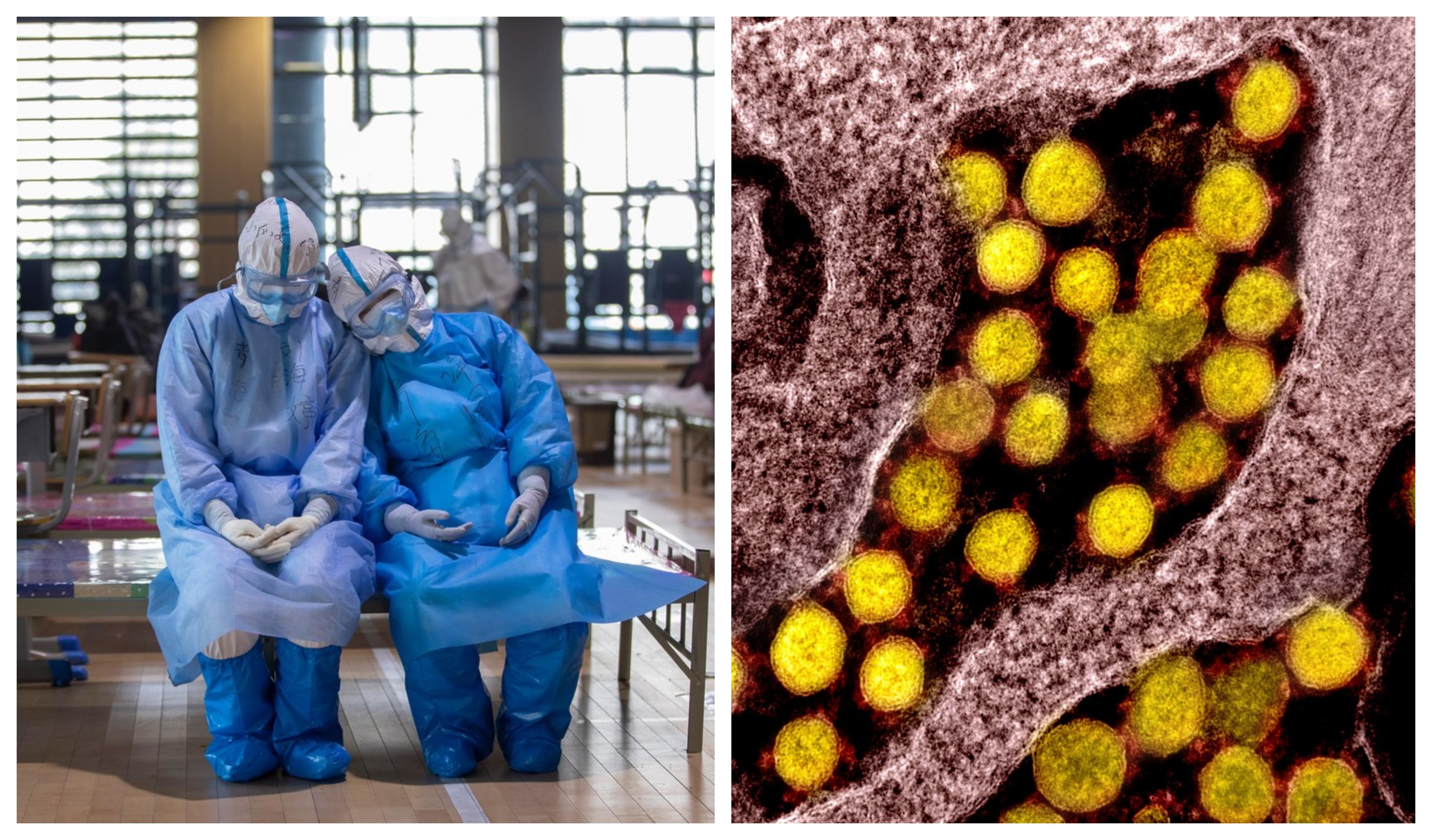 Coronavirusul, &bdquo;prezis&rdquo; &icirc;ntr-o carte din 1981? Cele mai mari minciuni despre Covid-19, date &icirc;n vileag! &bdquo;Cine a fost infectat nu scapă cu viață!&rdquo;