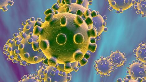 Alte 5 cazuri de îmbolnăvire cu noul coronavirus. 44 de persoane infectate cu Covid-19 în România!