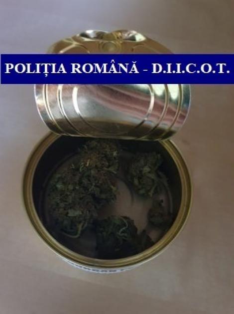 Produse din cannabis, confiscate de poliţiştii antidrog de la un magazin din Oradea