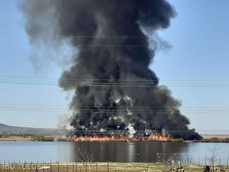 Incendiu puternic &icirc;n Tulcea! Zeci de hectare de vegetație mistuite de flăcări