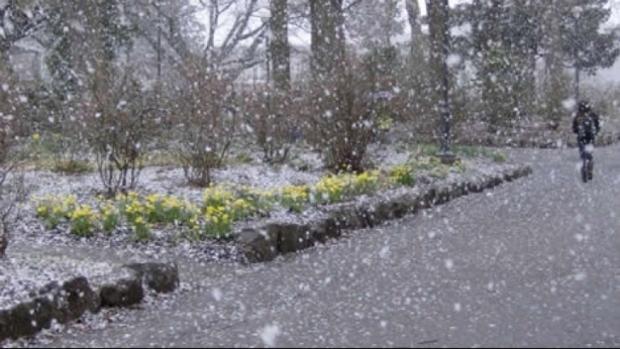 V&acirc;nt puternic, lapoviță și ninsori, &icirc;n București, de s&acirc;mbătă seară. C&acirc;t ține vremea deosebit de rece