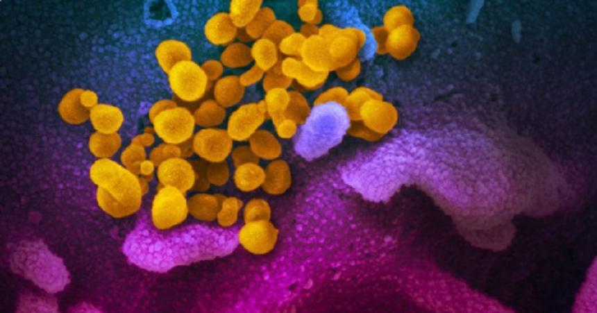 Noile studii asupra Covid-19 dau fiori reci. Coronavirusul poate supravieţui timp de trei ore în aer liber