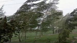 Cod galben de v&acirc;nt puternic &icirc;n cinci județe