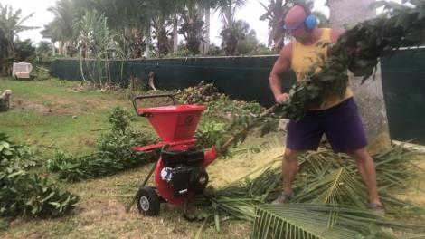 Ai o gradina? Iata de ce iti trebuie un tocator crengi performant!