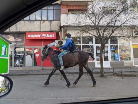 Bărbatul surprins pe cal, în Iași, mergea la maternitate, unde îi născuse soția. Venise de la țară călare, pentru că autobuzele nu mai circulă