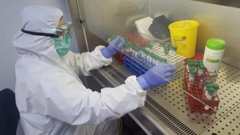 MApN anunţă creşterea capacităţii de testare pentru coronavirus: ”Unitatea poate prelucra până la 400 de teste în 24 de ore”