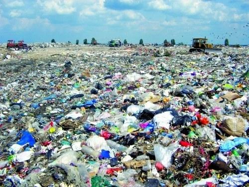 Poluare &icirc;n Capitală. Poliţiştii fac percheziţii la mai multe firme colectoare de deşeuri "Infracţiuni ce aduc atingere mediului&rdquo;