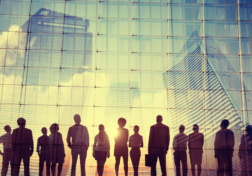 Şoferii, contabilii şi economiştii, cei mai activi &icirc;n căutarea unui loc de muncă &icirc;n luna februarie