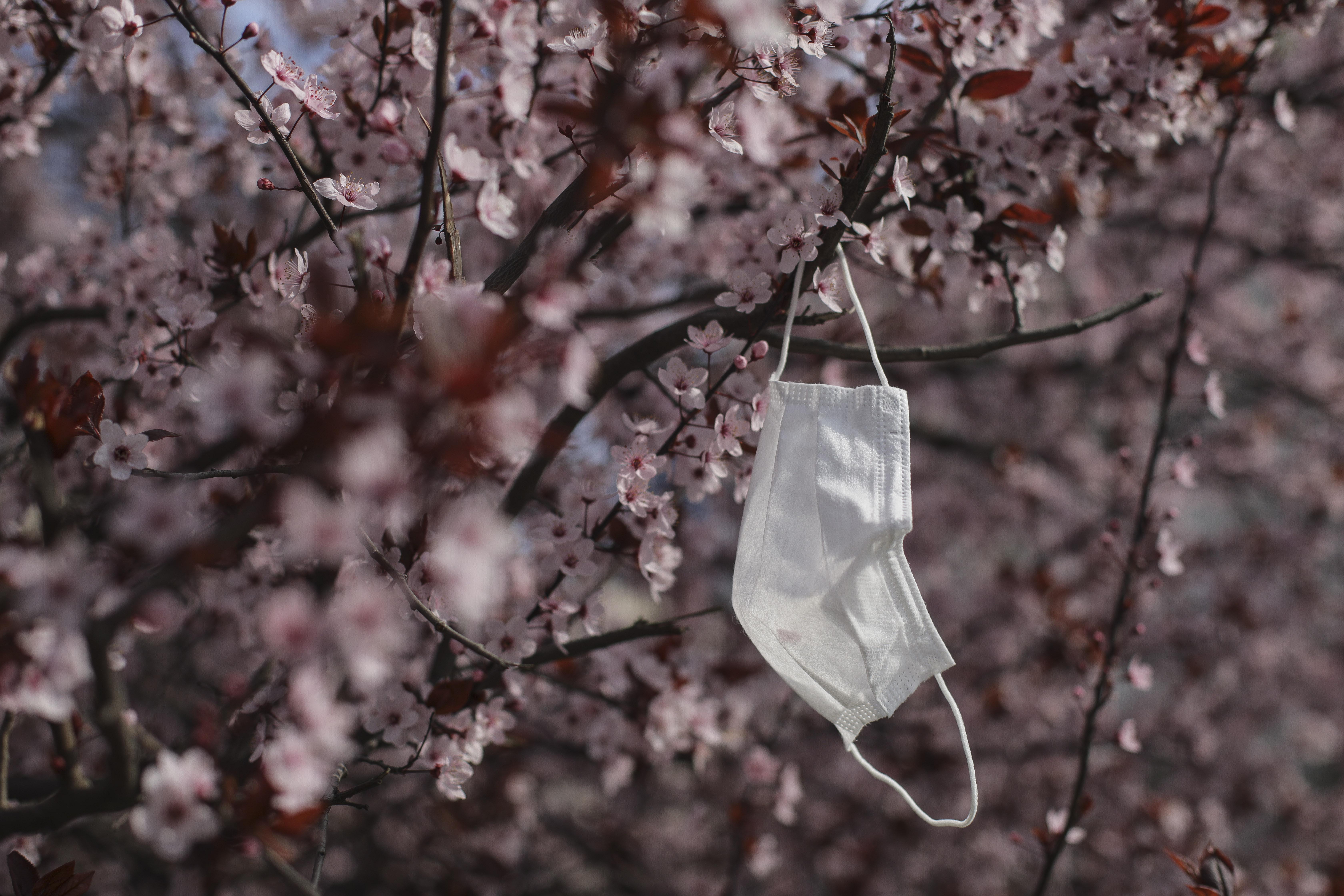 Oficialii OMS vin cu vești bune! Epidemia ar trebui să se stabilizeze &icirc;n cur&acirc;nd &icirc;n Italia