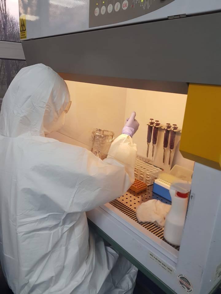 Firea: Viteza de testare a pacienţilor din Bucureşti a crescut de la 120 de teste pe zi la 900 de teste/ Primăria Capitalei a investit, numai &icirc;n aceste zile, 4 milioane de euro &icirc;n aparatură şi echipamente de protecţie