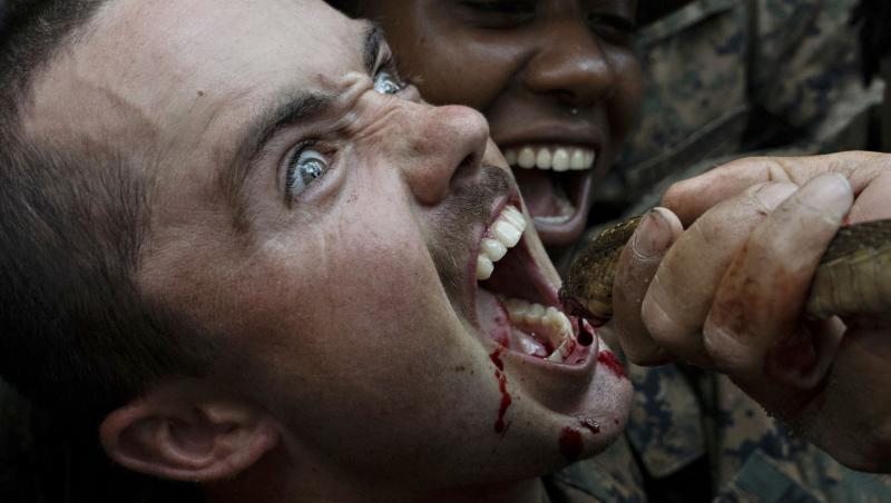 În plină epidemie de coronavirus, trupele americane și thailandeze rup capetele șerpilor și le beau sângele într-un ritual dezgustător