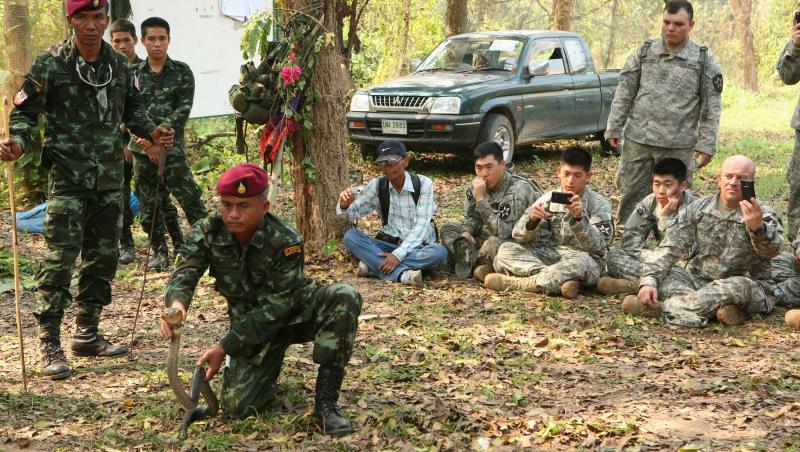 Trupele americane și thailandeze rup capetele șerpilor și le beau sângele