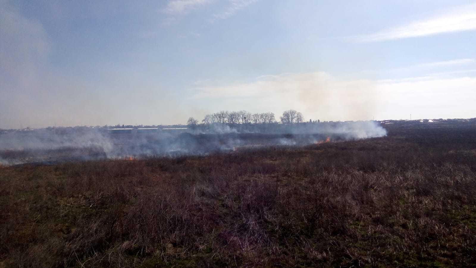 Incendiu de vegetaţie &icirc;n Glina, pe o suprafaţă de 5.000 de metri pătraţi