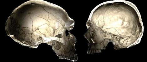 O "populație fantomă" s-a desprins din oamenii moderni și a trăit în Africa în urmă cu 500.000 de ani
