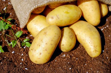 Comercianții profită de pandemie: Cartofii sunt mai scumpi cu 11%, iar prețurile unor alimente au explodat