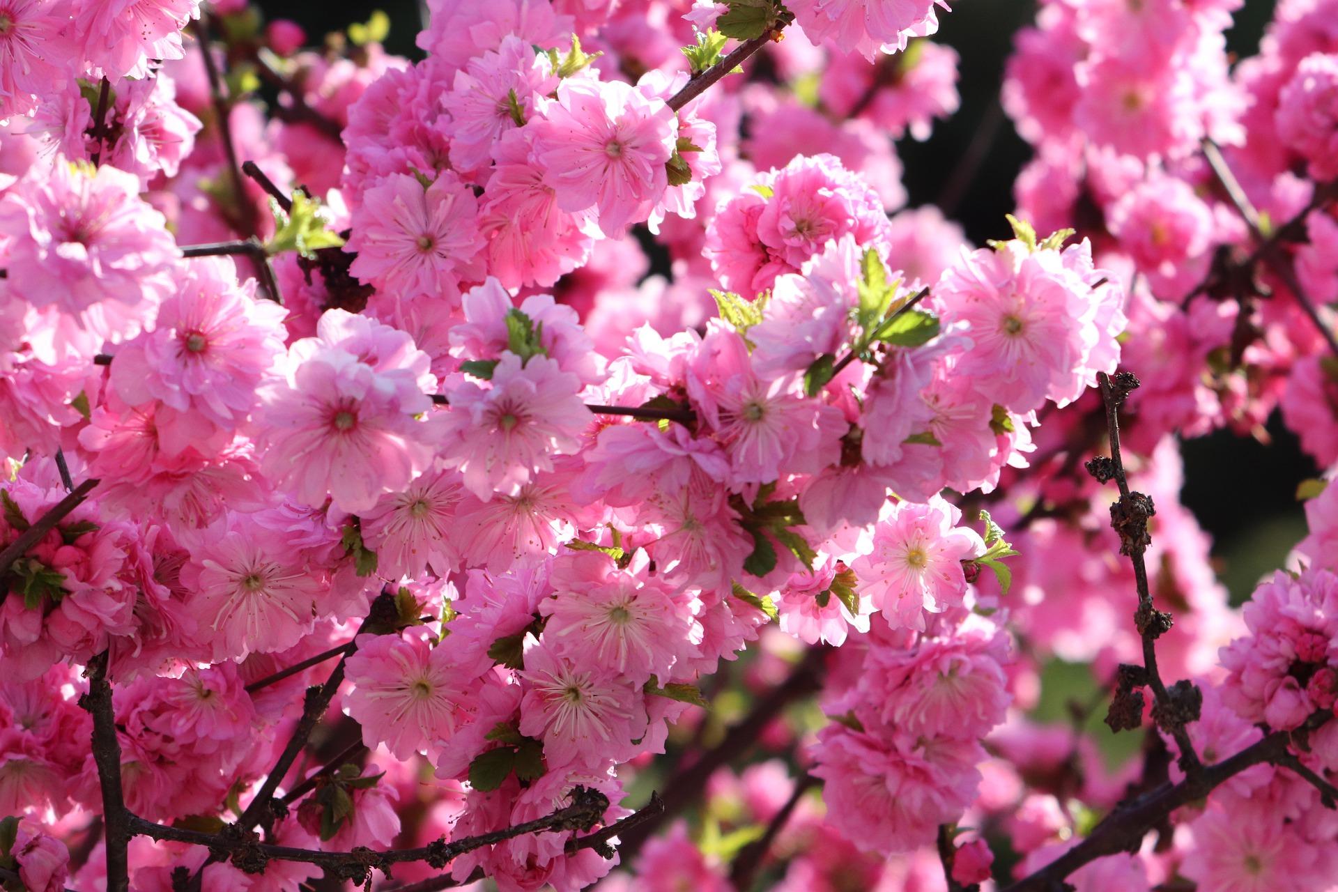 Vremea de Paște și de 1 Mai. Prognoza meteo pentru patru săptăm&acirc;ni