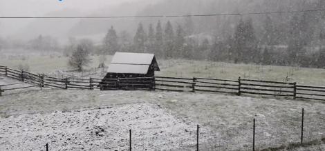 Ninge ca-n povești, de ore bune, în nordul țării. Iarna s-a întors în România, în Săptămâna Mare a Paștelui