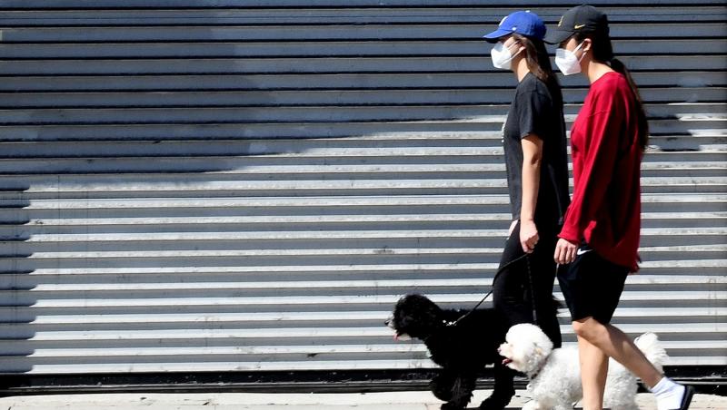 Câini duși la plimbare, pe timp de pandemie de coronavirus.