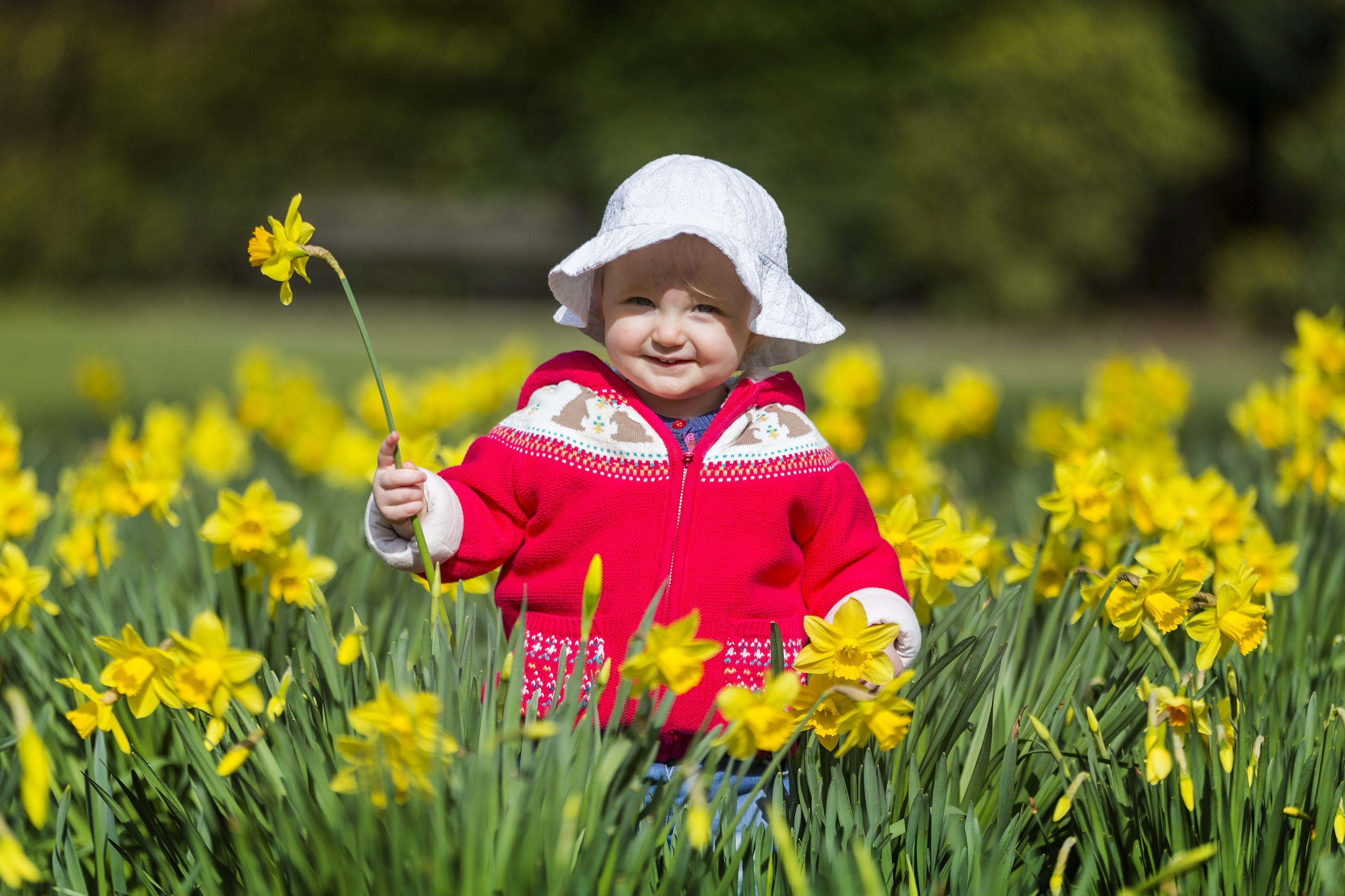 Frigul nu mai are viață lungă &icirc;n Rom&acirc;nia! Ce urmează după valul de aer polar și c&acirc;nd &icirc;și revine primăvara &icirc;n drepturi. Prognoza meteo pentru luna aprilie