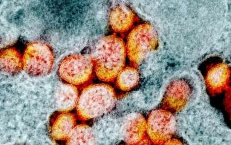Se schimbă tot ce știai despre coronavirus. Epidemia ar fi început în luna septembrie, dar nu la Wuhan