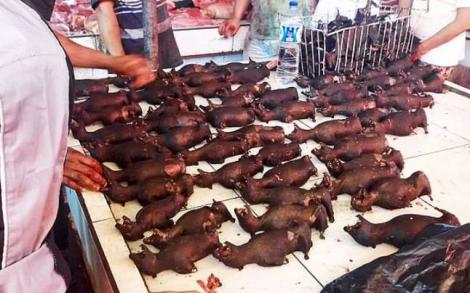Unii stau în case, alții mănâncă lilieci! Imagine virală dintr-o piață din Indonezia, în vremea pandemiei de Covid-19