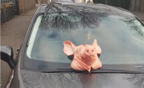 Polițista Laura, de 24 de ani, implicată în supravegherea respectării măsurilor împotriva COVID-19, s-a trezit cu un cap de porc pe mașină! Tatăl ei: „Sunt furios!” – FOTO