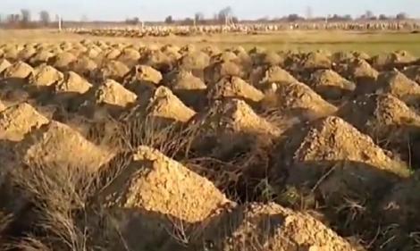 Primarul oraşului ucrainean Dnipro pune să se sape sute de morminte pentru a-i speria pe locuitori să respecte izolarea împotriva covid-19