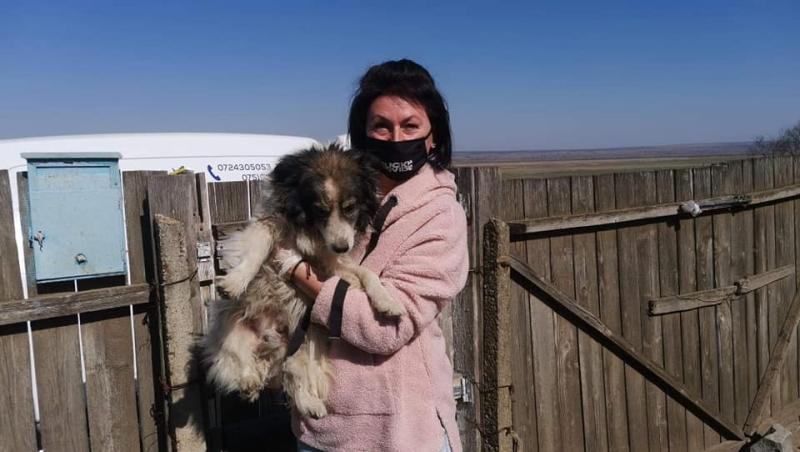 Un câine din Vaslui a fost salvat după ce a stat o lună fără mâncare și apă