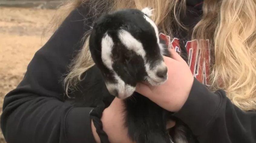 Naștere stranie &icirc;n plină pandemie de coronavirus