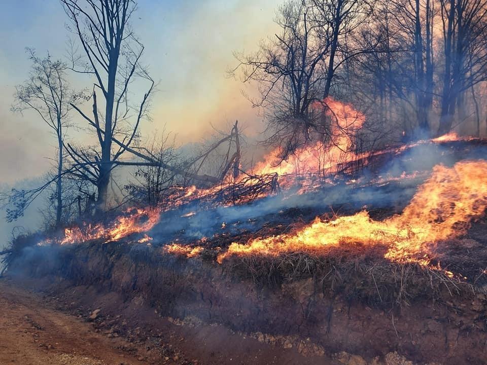 Hunedoara: 14 incendii de litieră de pădure şi vegetaţie uscată au izbucnit &icirc;n aceeaşi zi