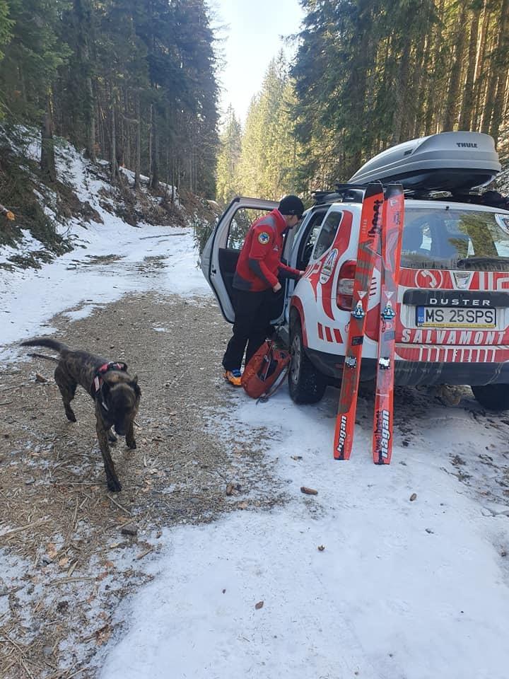 Mureş: Doi turişti, atacaţi de urs &icirc;n Munţii Călimani, unul dintre ei fiind grav rănit/ Salvamontiştii reamintesc că toate traseele montane sunt &icirc;nchise pe durata stării de urgenţă