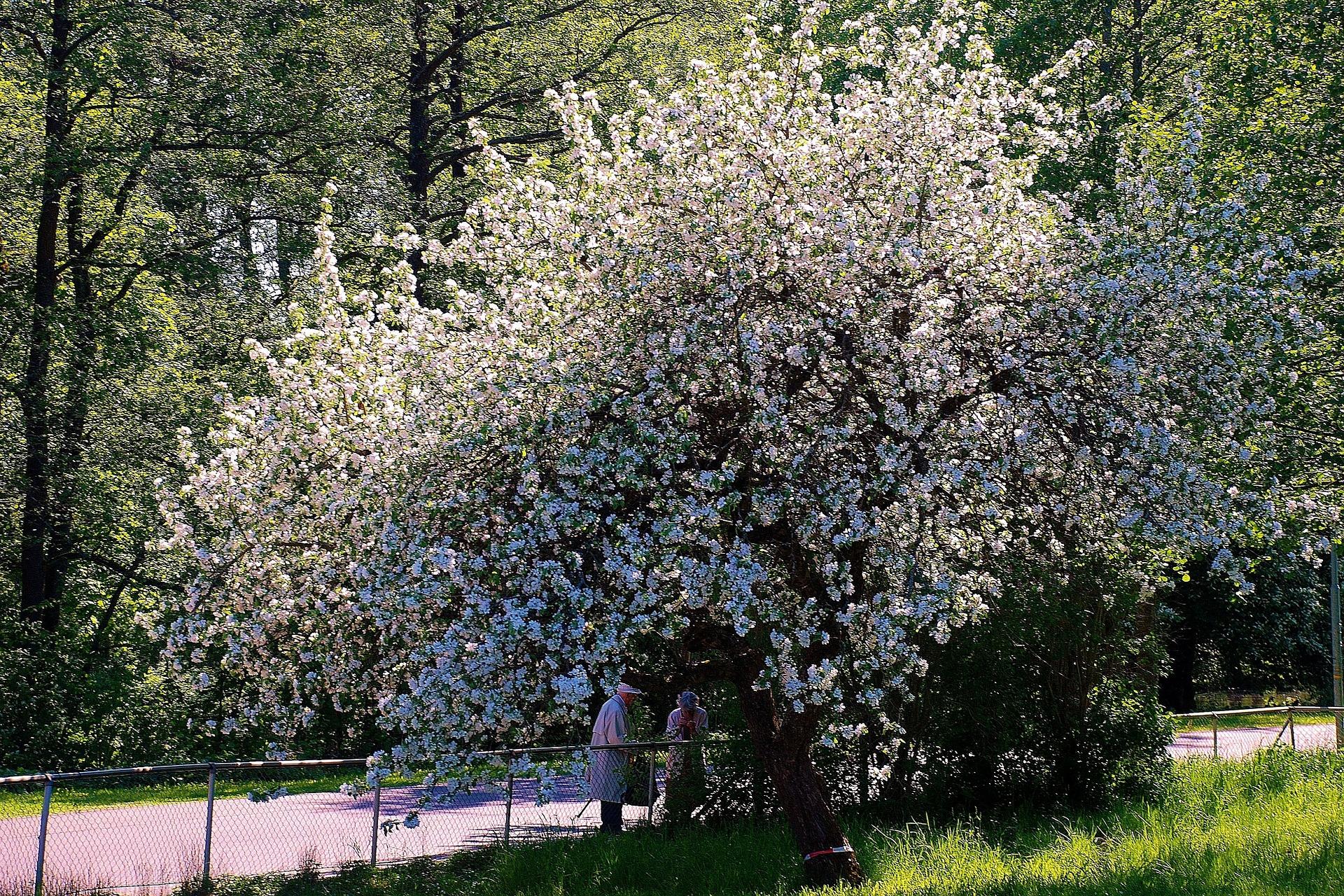 Vremea de m&acirc;ine. Maximele zilei de 10 aprilie ajung la 24 de grade