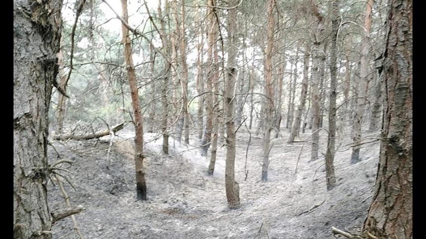 Garda de Mediu Buzău a sesizat Parchetul cu privire la incendiul declanşat săptăm&acirc;na trecută pe dealurile din comuna buzoiană Breaza, arie naturală protejată, consider&acirc;nd că focul a fost pus intenţionat