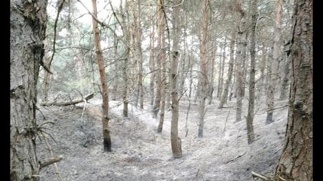 Garda de Mediu Buzău a sesizat Parchetul cu privire la incendiul declanşat săptămâna trecută pe dealurile din comuna buzoiană Breaza, arie naturală protejată, considerând că focul a fost pus intenţionat